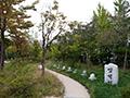 인천 대화 초등학교 생태 숲 암석원 썸네일 이미지