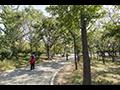 석바위 근린공원 썸네일 이미지