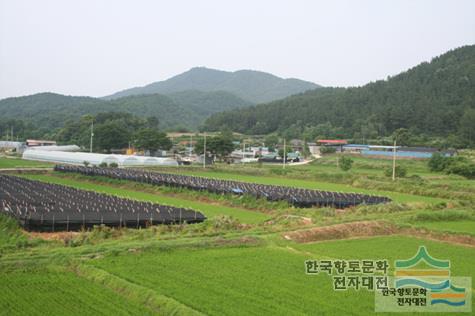 대표시청각 이미지