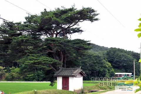 대표시청각 이미지