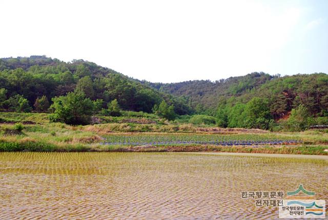 대표시청각 이미지