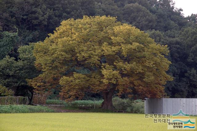 대표시청각 이미지