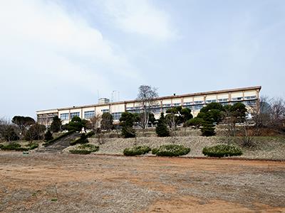 대성초등학교 썸네일 이미지