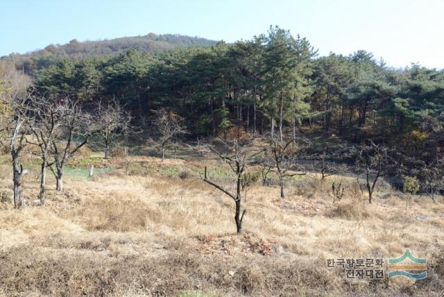 대표시청각 이미지