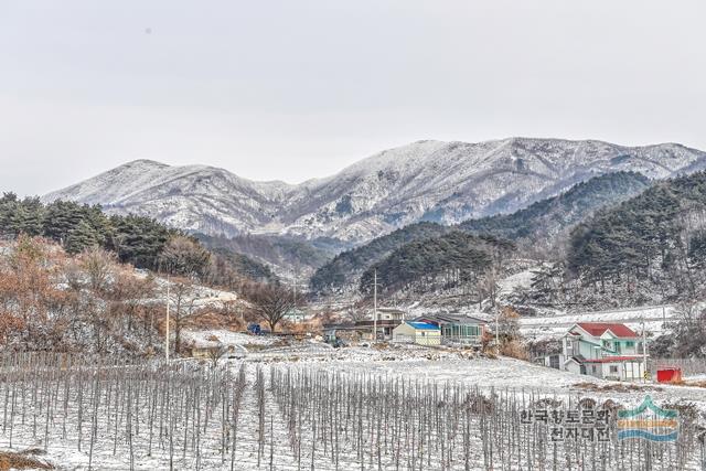 대표시청각 이미지