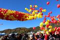 청송사과축제 만유인력 황금사과를 찾아라 썸네일 이미지