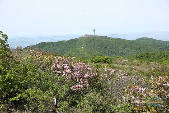 대표시청각 이미지