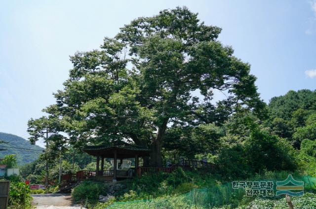 대표시청각 이미지