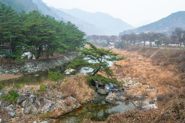 대표시청각 이미지